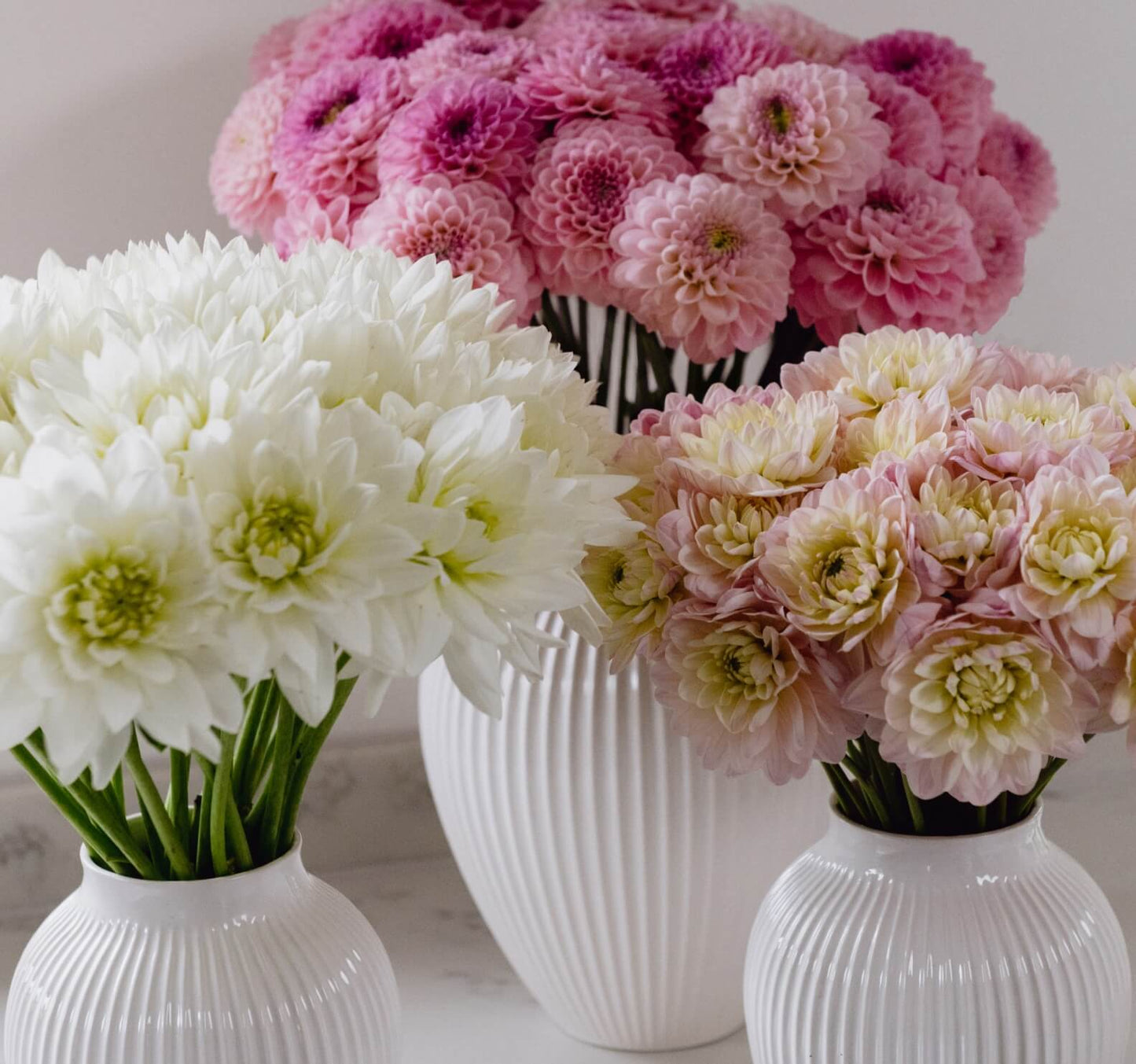 Flowerbx Prestige Subscription
