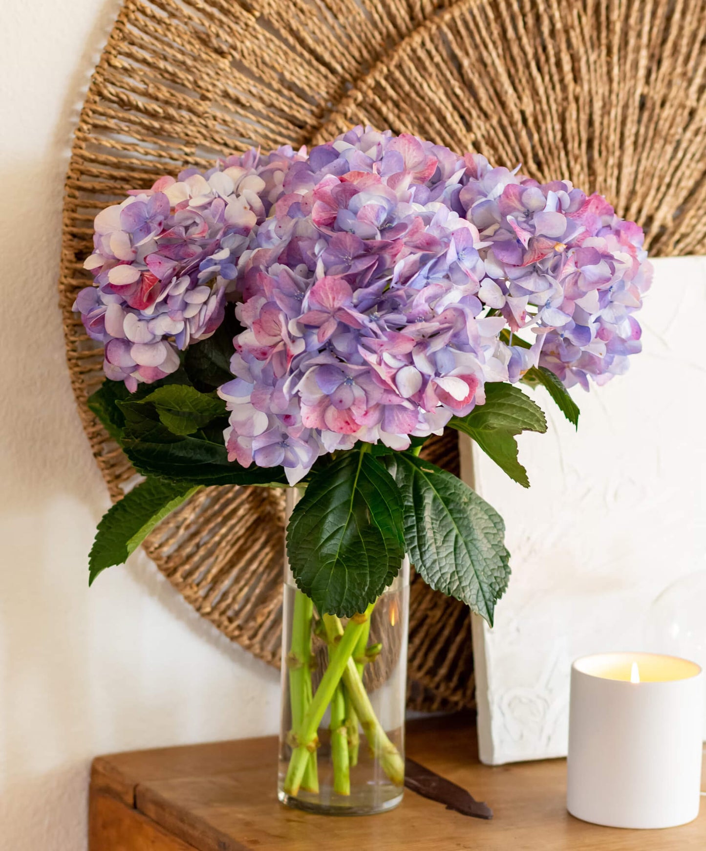 Bloomsy Hydrangea Flower Subscription