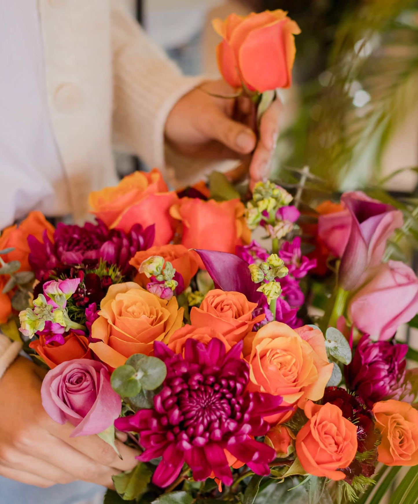 Bloomsy Premium Flower Subscription