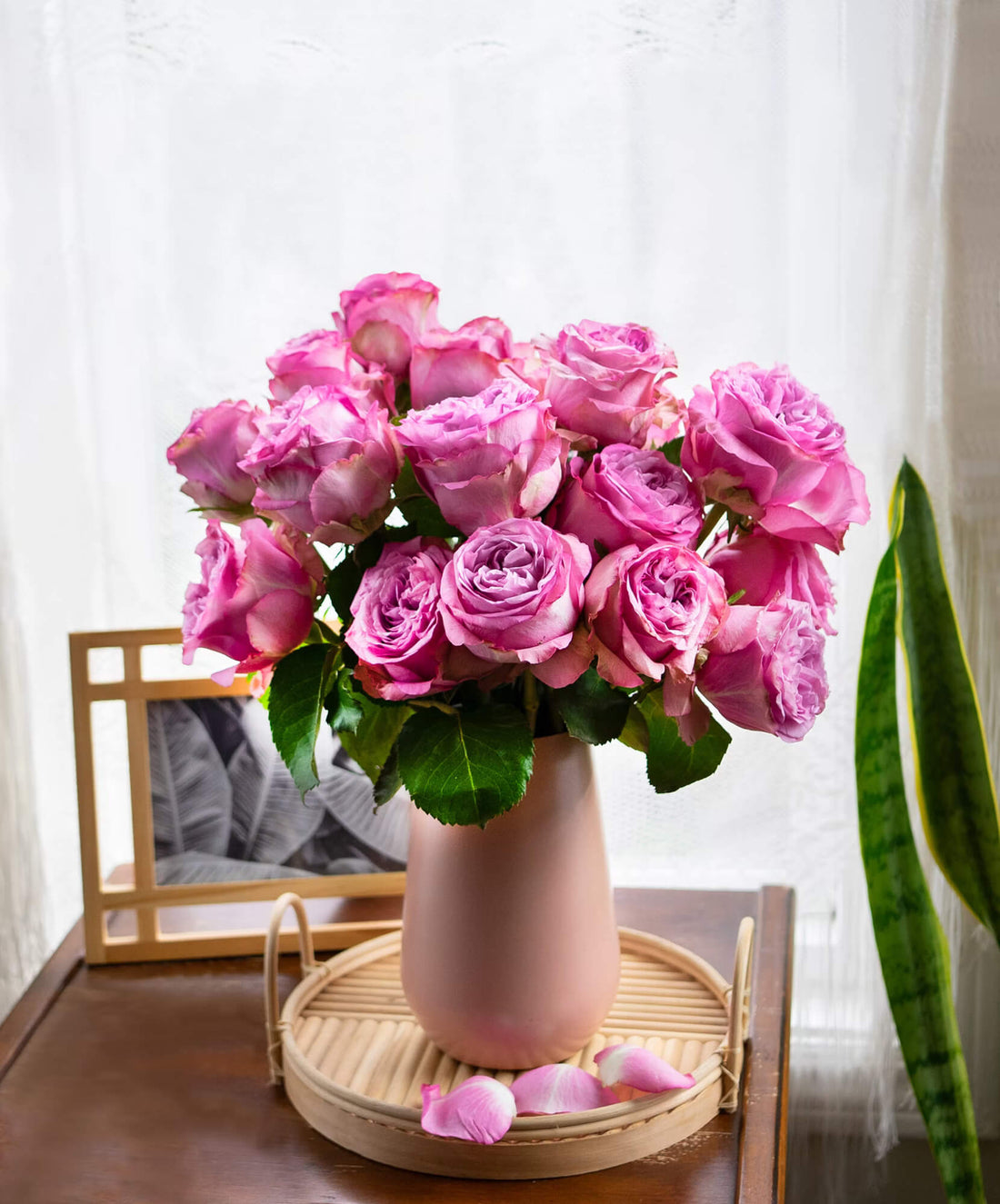 Bloomsy Pet-Safe Flower Subscription – Petal Republic