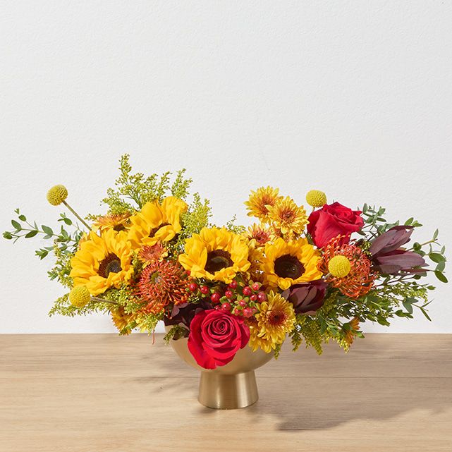 The Brighten Up Arrangement